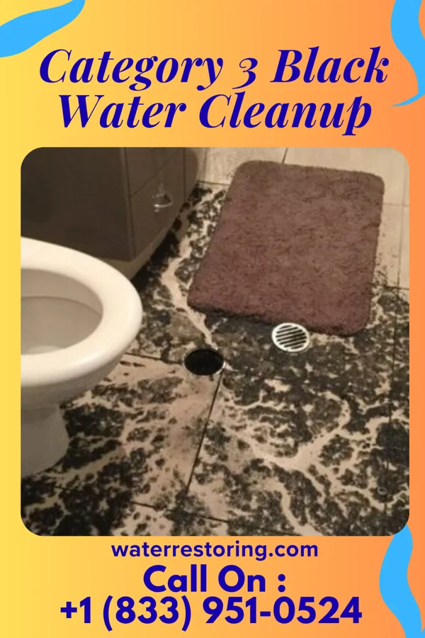 Category 3 Black Water Cleanup in Eastwood, MI