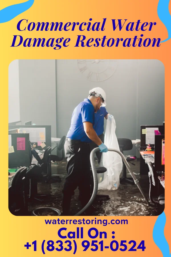 Commercial Water Damage Restoration in Eastwood, MI