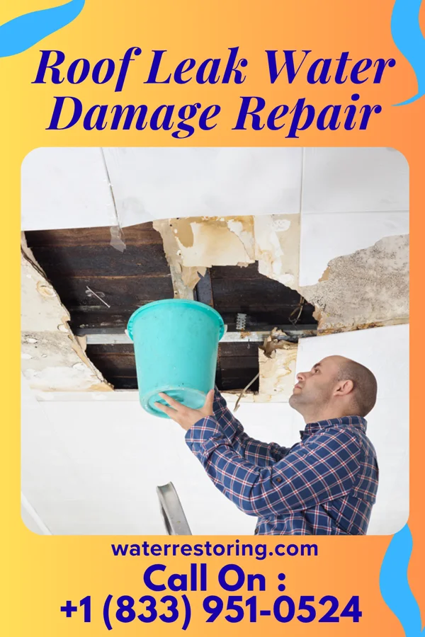 Roof Leak Water Damage Repair in Eastwood, MI